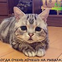 ���� ������, ������, 45 ��� - ��������� 5 ������ 2017 � ������ �� �