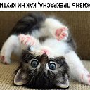 ���� ���, ��������� - ��������� 10 ������� 2016 � ������ ������ ��������