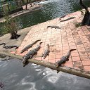 ���� ��������, ������� - ��������� 9 ������� 2016 � ������ ��������
