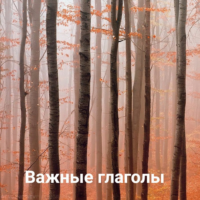 Важные глаголы. see - видеть look — смотреть, глядеть; осматривать; следить listen - слушать; ...