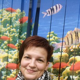 ���� ����, ��������� - ��������� 21 ������ 2017