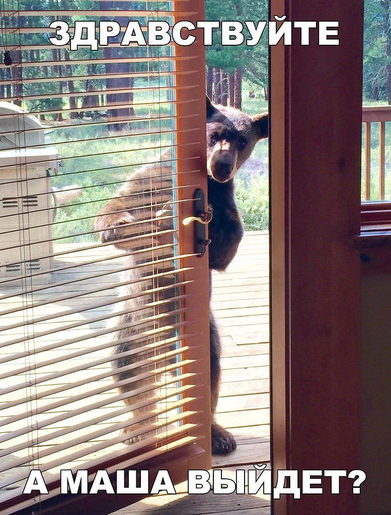 ������ �� ��� :D - 17 ������� 2016 � 01:38