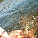 ���� ���������, ��������������, 27 ��� - ��������� 31 ������ 2017 � ������ ���� ����������