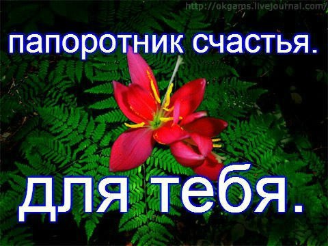Жизнь идет, всем добавляя возраст, Но совсем тут дело не в годах. Праздник этот мудрый и серьезный, ...