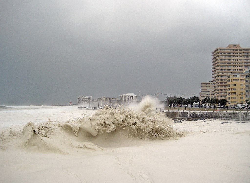    Cappuccino Coast      ,   ...