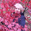 ������� ���� �� ������� ���� ����������