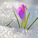 ���� ����, �����-��������� - ��������� 8 ����� 2017