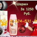 ���� �������, ����-������, 37 ��� - ��������� 7 ������� 2016