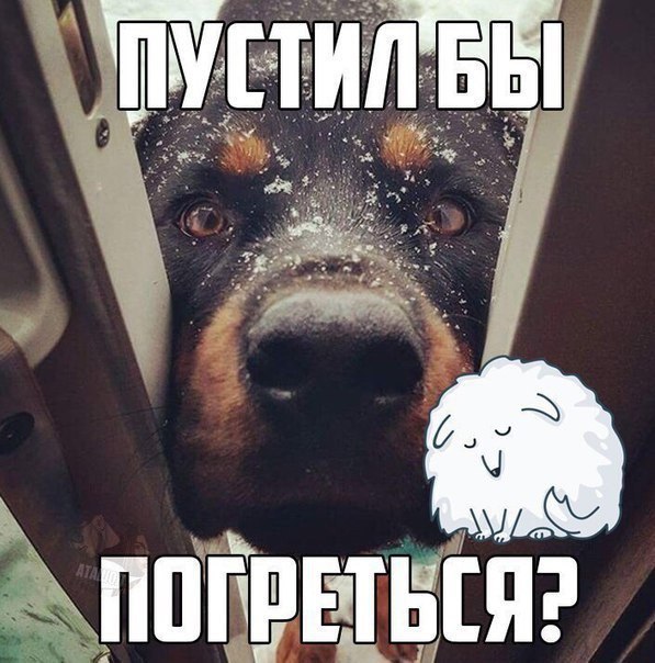 I Love Cars - 17 ����� 2017 � 10:42