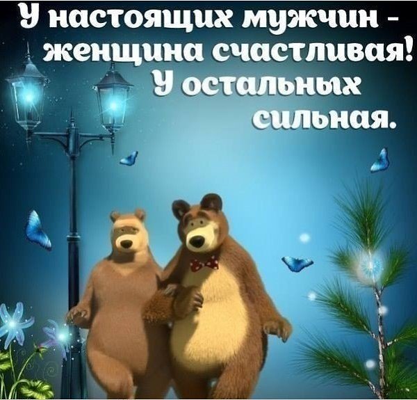 ,   ,    - 5  2017  02:24