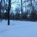  ,  , 41  -  11  2016    