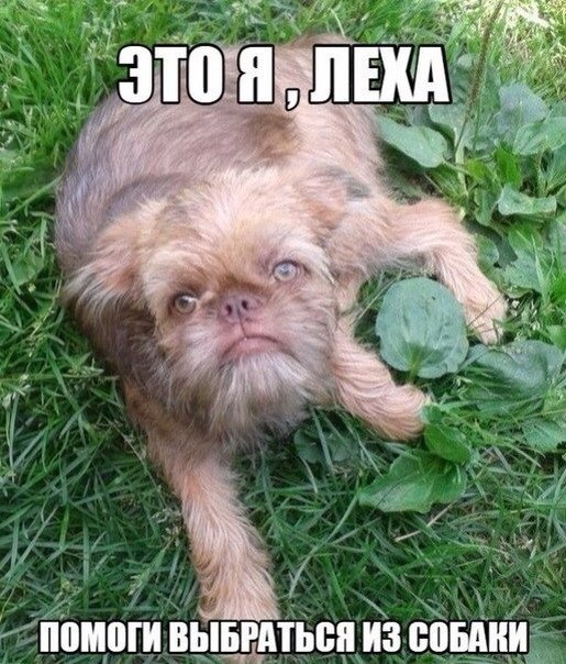     - 3  2016  10:02