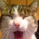 ���� ������, �����-���������, 25 ��� - ��������� 2 ������� 2016 � ������ ���� ����������