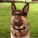 ���� ����, �������, 57 ��� - ��������� 28 ����� 2017 � ������ ���� ����������