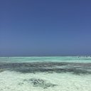 ���� Vincent, ������������, 50 ��� - ��������� 8 ������ 2017 � ������ ���� ����������