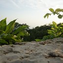���� Irin�, ������, 46 ��� - ��������� 3 ������ 2017 � ������ ���� ����������
