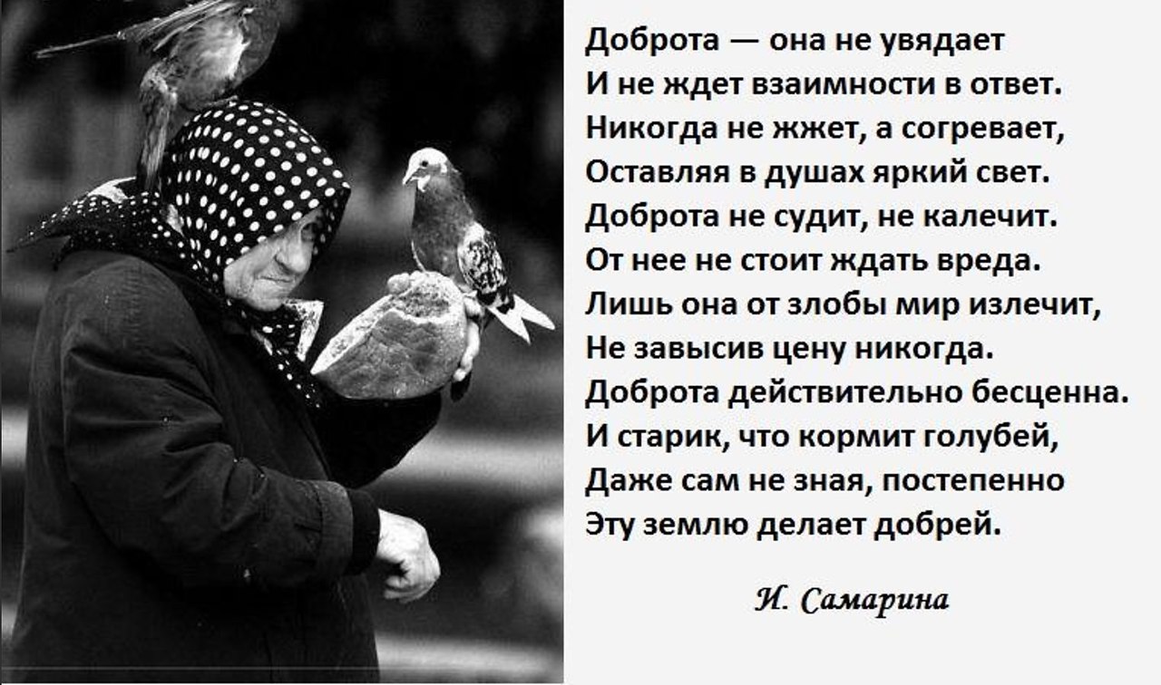 Песня потому что доброту. Стихи о доброте. Стихи о добре. Стихи о добрых людях. Стихи о доброте и милосердии.