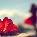 ���� ������, ����� - ��������� 21 ������� 2016 � ������ ������ ��������