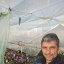 ���� �����, �����������, 42 ���� - ��������� 7 ����� 2017