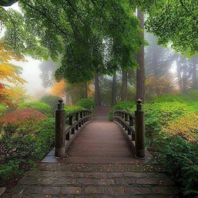 ������ �������� ����? ���-������ ����� ���?