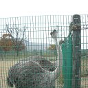  , , 65  -  18  2016   Ҹ .