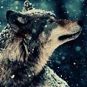  Tahmina,  -  23  2016    