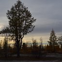 ���� �����, ����� ������� - ��������� 9 ������ 2016 � ������ �����-������߻