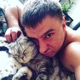 ���� �����, ������, 42 ���� - ��������� 4 ������� 2016