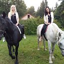 ���� ��������, �������, 61 ��� - ��������� 26 �������� 2016 � ������ ������� GRI Birds(����� �����)�