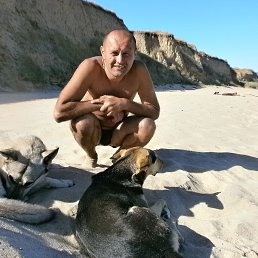 ���� ����, ��������, 48 ��� - ��������� 23 ������� 2016