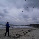 ���� ���������, ������, 40 ��� - ��������� 18 ������ 2016 � ������ ���� ����������