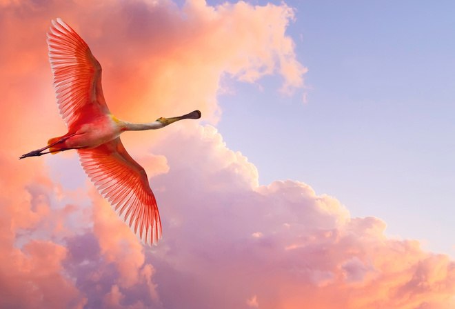 �. �������� ����������� ������, �� ������ � ��������� ���. ��� ����� �� ������/������� - ...