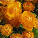 ���� �����, �����-�������, 55 ��� - ��������� 19 ������� 2017 � ������ ���� �����