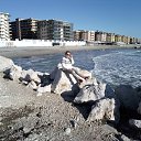 ���� 2017 �� ������� ���� ����������