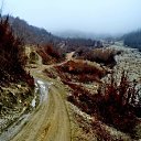  ,  -  15  2017              70     ӻ