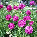 ���� Yusoup, ������, 70 ��� - ��������� 1 ������ 2017 � ������ ���� ����������