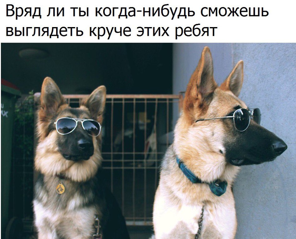  007))