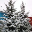 ���� �����, ������, 64 ���� - ��������� 17 ������ 2016 � ������ ���������� ������