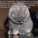 ���� ������, ������ - ��������� 5 ������� 2016 � ������ ��������