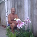 ���� �������, �����������, 74 ���� - ��������� 20 ����� 2017 � ������ ���� ����������