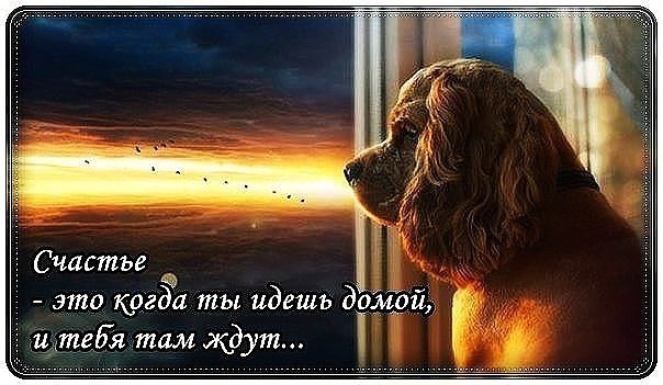 .https://fs-play.com/away?to=/sl/kxC2 - 11  2016  07:16