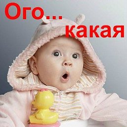 ���� ����, ������, 44 ���� - ��������� 4 ������� 2017