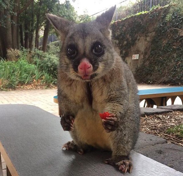 �����... ����������...