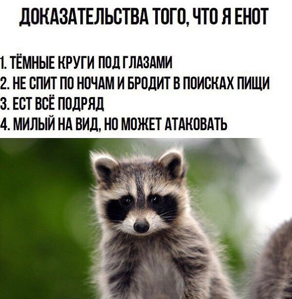 ������ ������� - 30 ������ 2017 � 07:17