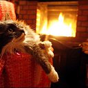 ���� �����, ��������, 59 ��� - ��������� 4 ������� 2017 � ������ ������ ��������