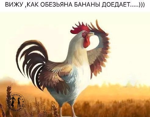   ,   .© - 31  2016  14:46