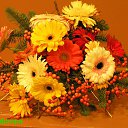 ���� Tat, �����, 47 ��� - ��������� 19 ������� 2016 � ������ ���� ����������