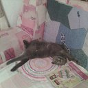 ���� ���������, ����, 50 ��� - ��������� 4 ������� 2016 � ������ ���� ����������