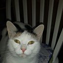 ���� ������, �����������, 45 ��� - ��������� 19 ������� 2016 � ������ ���� ����������