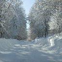  Beso, , 50  -  28  2016    